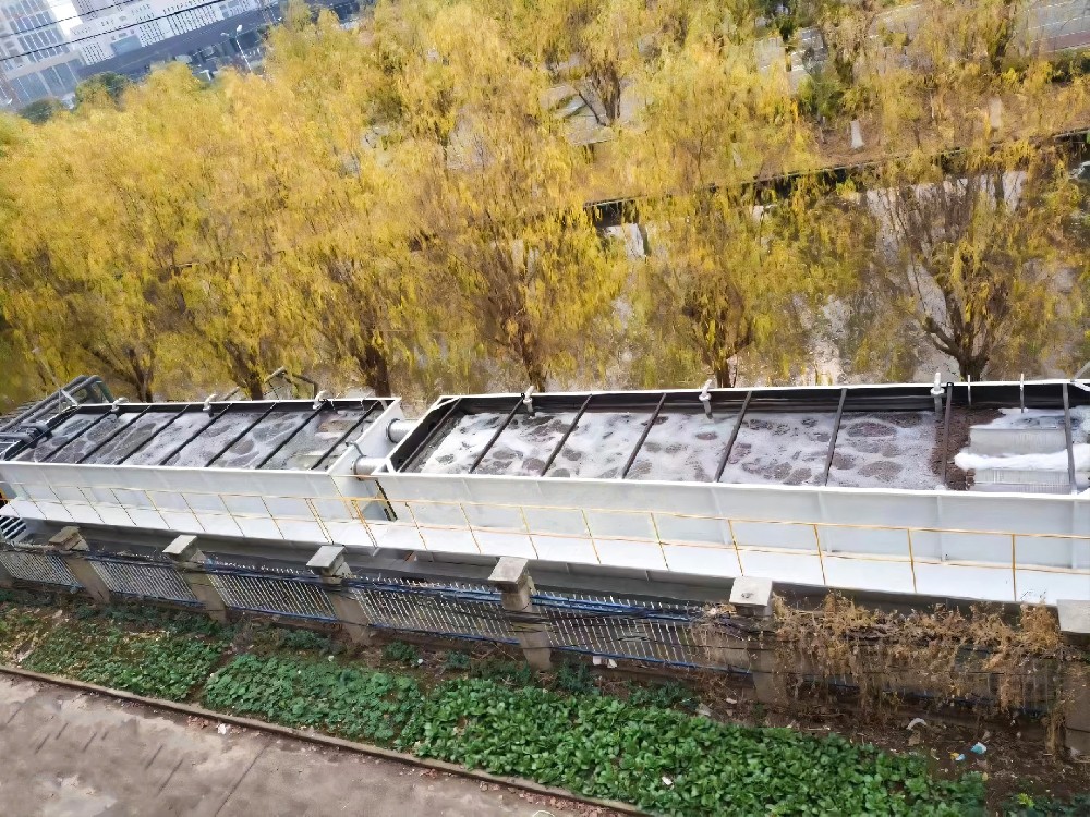 揭秘！泳池污水如何變清